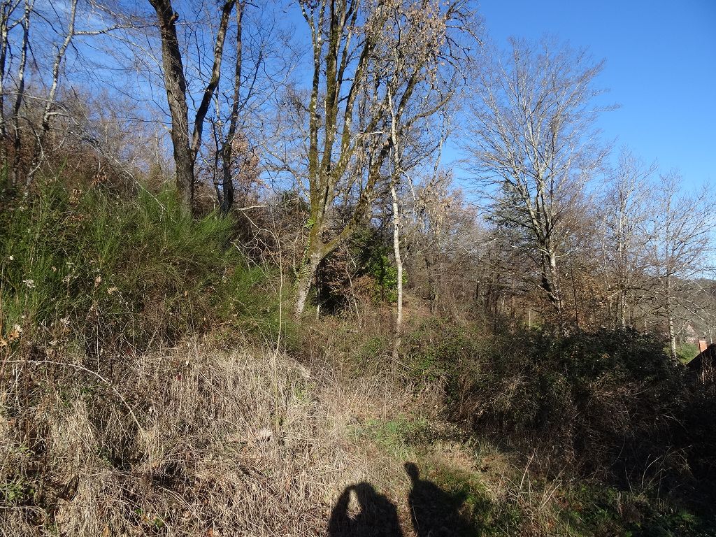 Terrain PROCHE DE MEYSSAC CHÉDAILLE IMMOBILIER