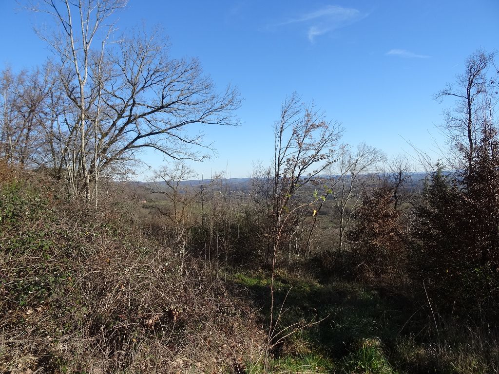 Terrain PROCHE DE MEYSSAC CHÉDAILLE IMMOBILIER