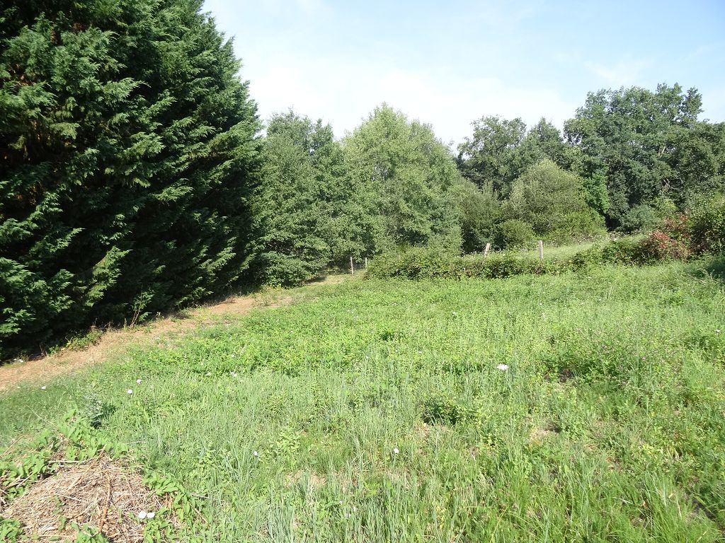 Terrain PROCHE DE MEYSSAC CHÉDAILLE IMMOBILIER