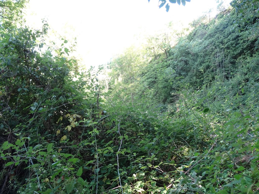 Maison ancienne NORD DU LOT CHÉDAILLE IMMOBILIER