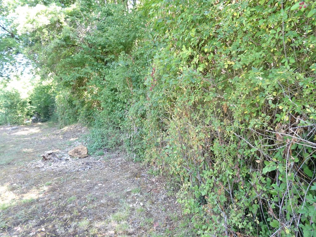 Maison ancienne NORD DU LOT CHÉDAILLE IMMOBILIER