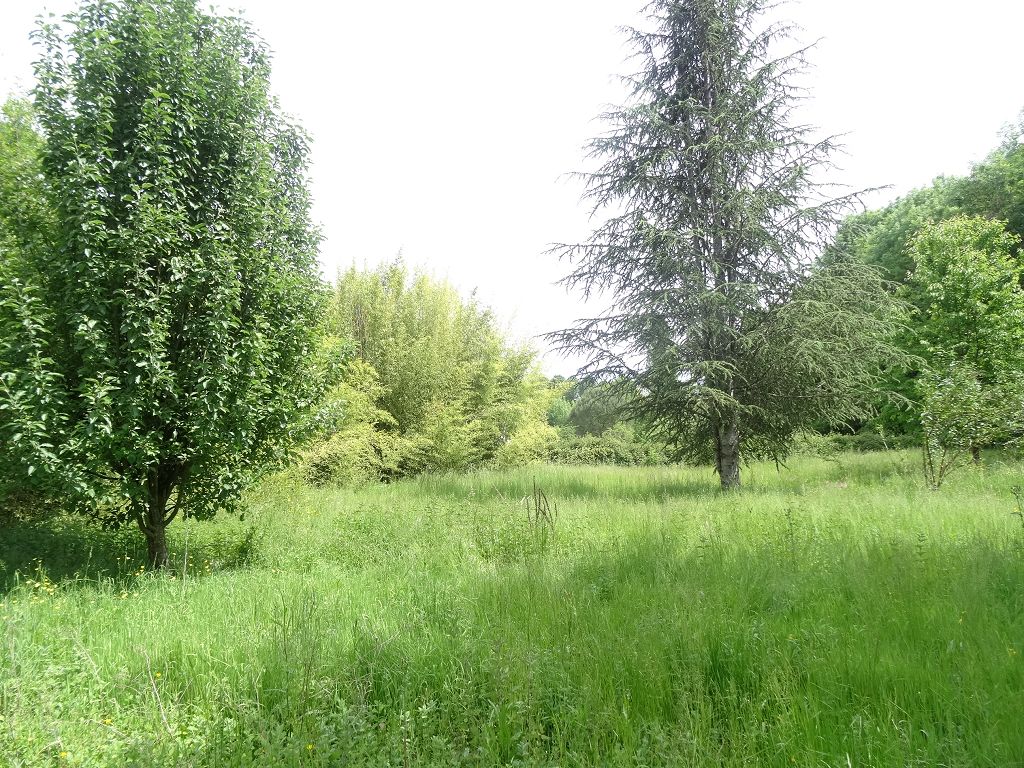 Terrain COLLONGES LA ROUGE CHÉDAILLE IMMOBILIER