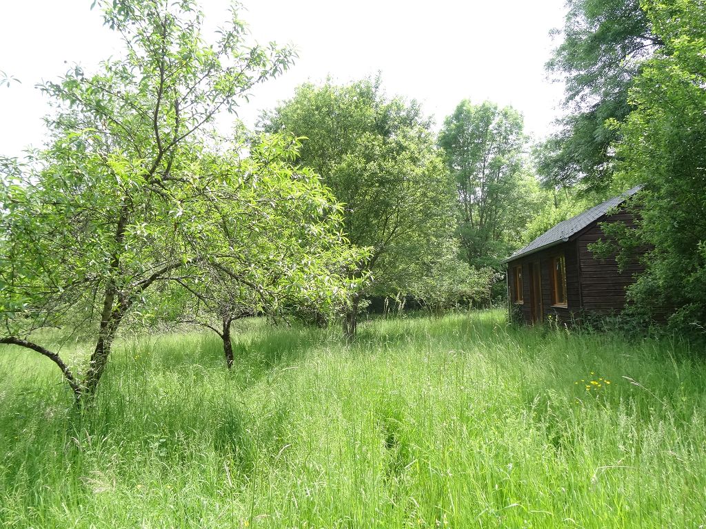 Terrain COLLONGES LA ROUGE CHÉDAILLE IMMOBILIER