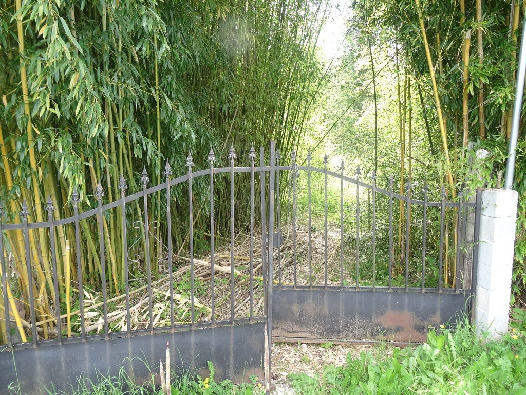 Terrain COLLONGES LA ROUGE CHÉDAILLE IMMOBILIER