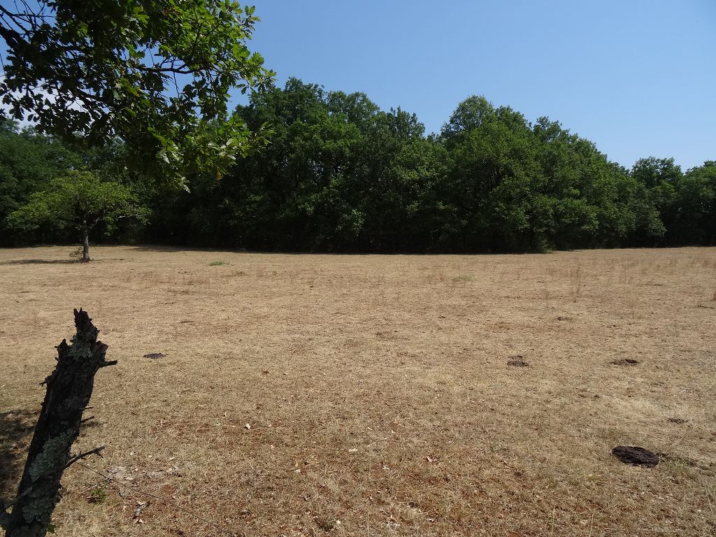 Terrain SUD DE BRIVE CHÉDAILLE IMMOBILIER