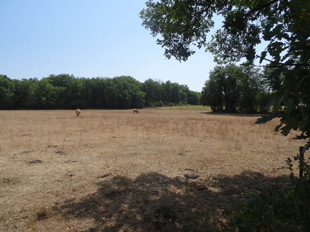 Terrain SUD DE BRIVE CHÉDAILLE IMMOBILIER