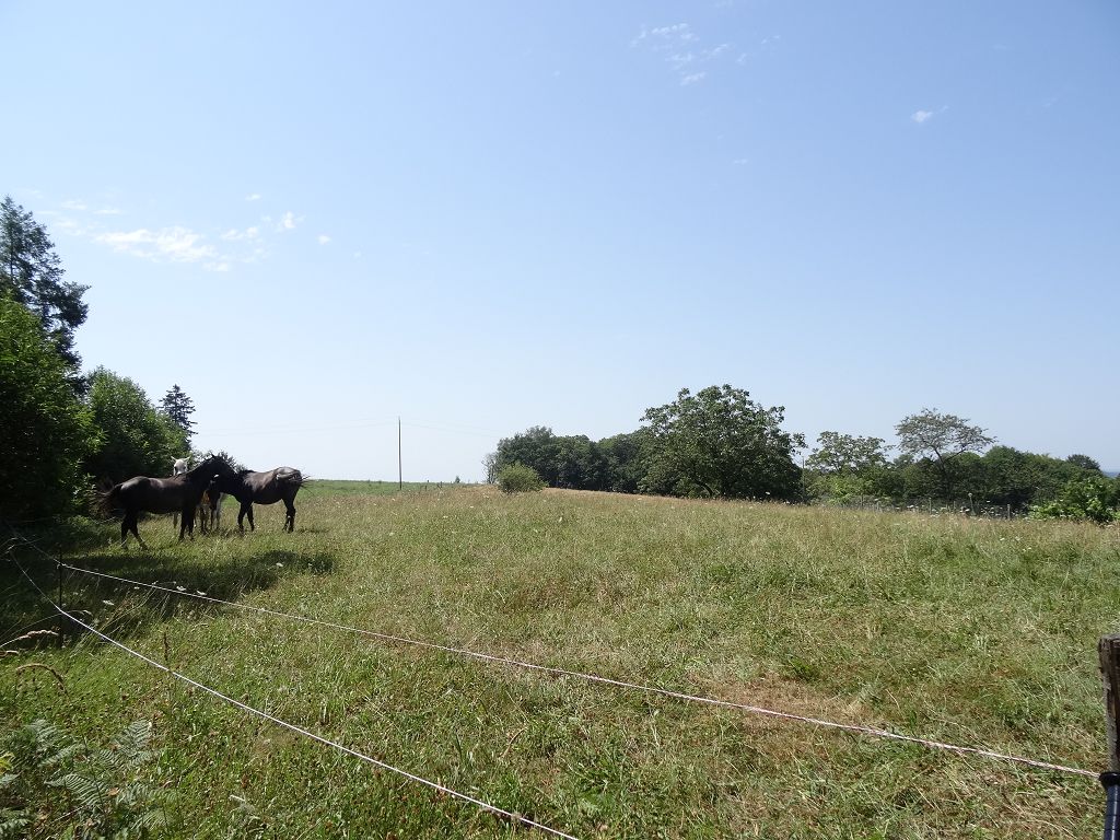 Corps de ferme SUD DE BRIVE CHÉDAILLE IMMOBILIER