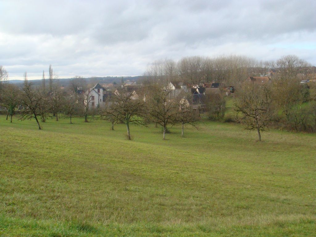 Terrain A 5 MINUTES A PIED DU CENTRE DE MEYSSAC CHÉDAILLE IMMOBILIER