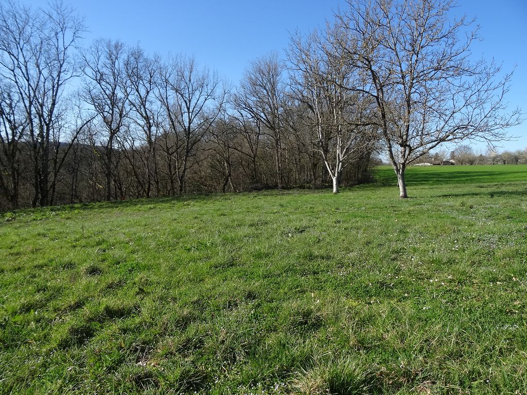 Terrain NORD DU LOT CHÉDAILLE IMMOBILIER