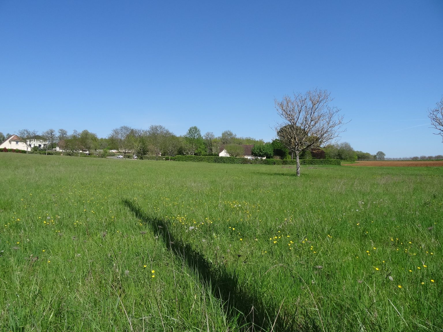 Terrain NORD DU LOT CHÉDAILLE IMMOBILIER