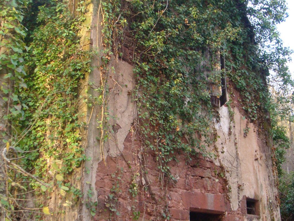 Maison ancienne MEYSSAC CHÉDAILLE IMMOBILIER