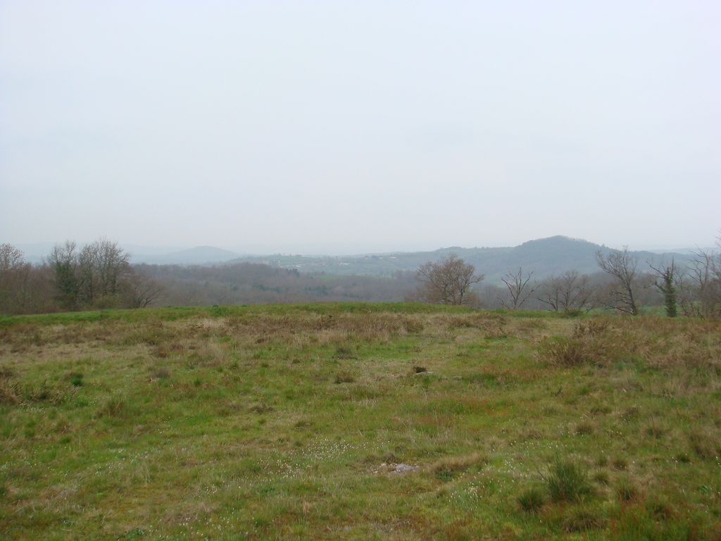 Terrain CANTON DE MEYSSAC CHÉDAILLE IMMOBILIER