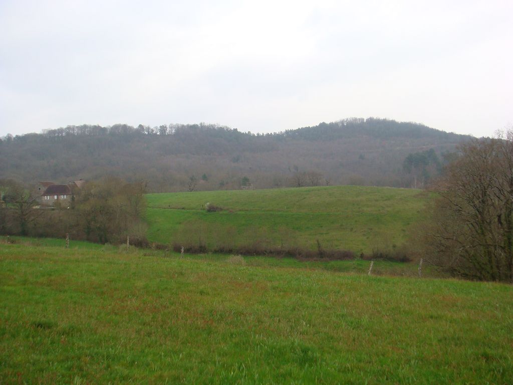 Terrain CANTON DE MEYSSAC CHÉDAILLE IMMOBILIER