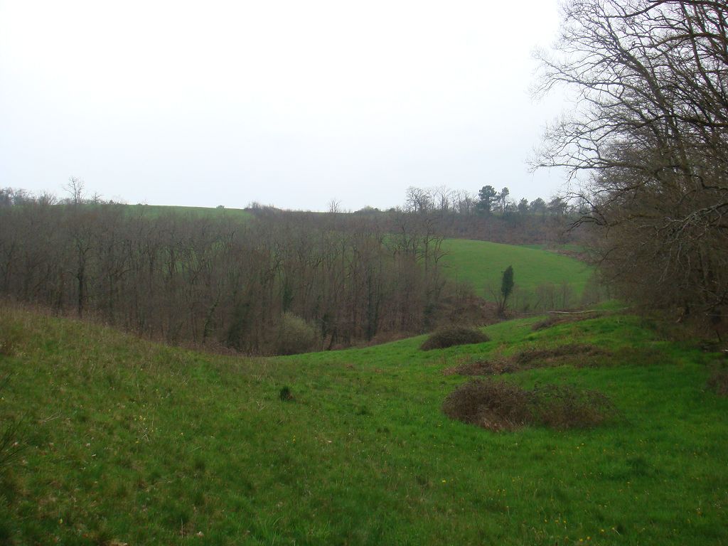 Terrain CANTON DE MEYSSAC CHÉDAILLE IMMOBILIER