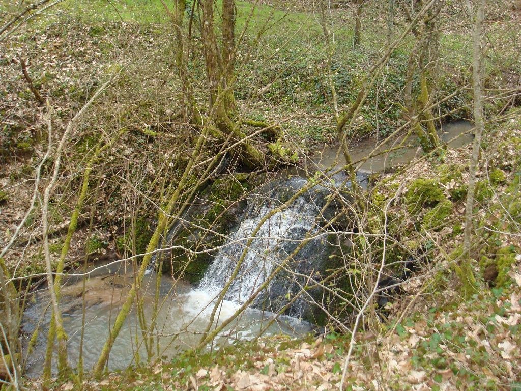 Terrain CANTON DE MEYSSAC CHÉDAILLE IMMOBILIER
