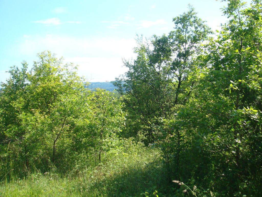 Terrain PROCHE DE MEYSSAC CHÉDAILLE IMMOBILIER