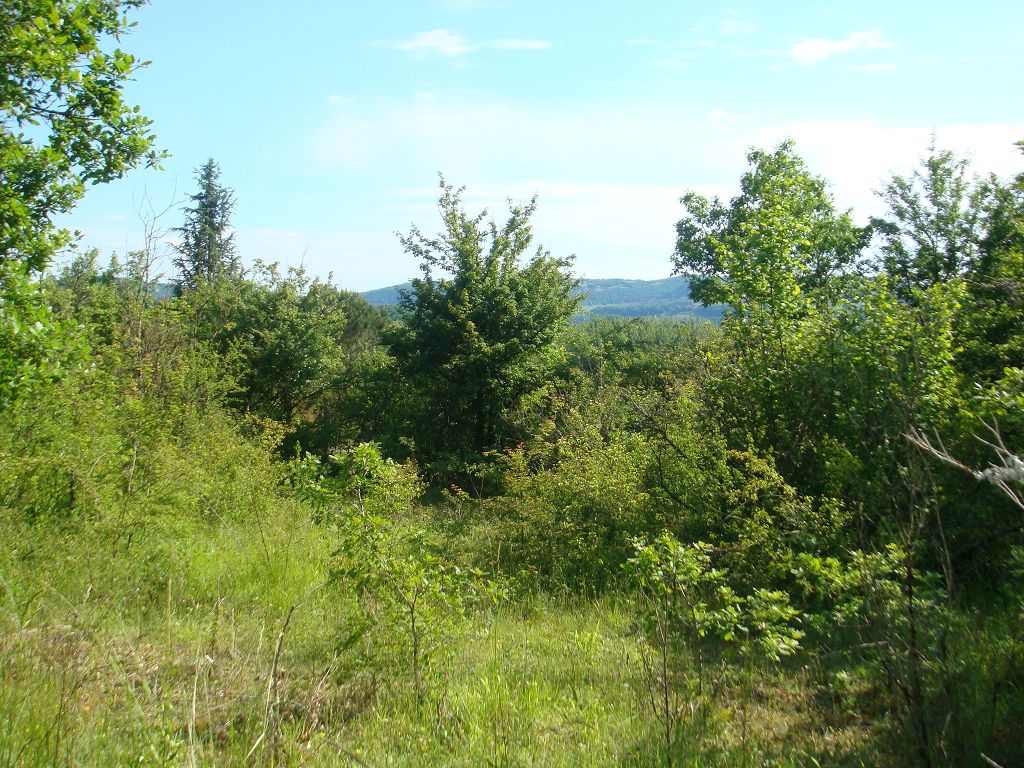Terrain 3 MINUTES DE MEYSSAC EN VOITURE CHÉDAILLE IMMOBILIER