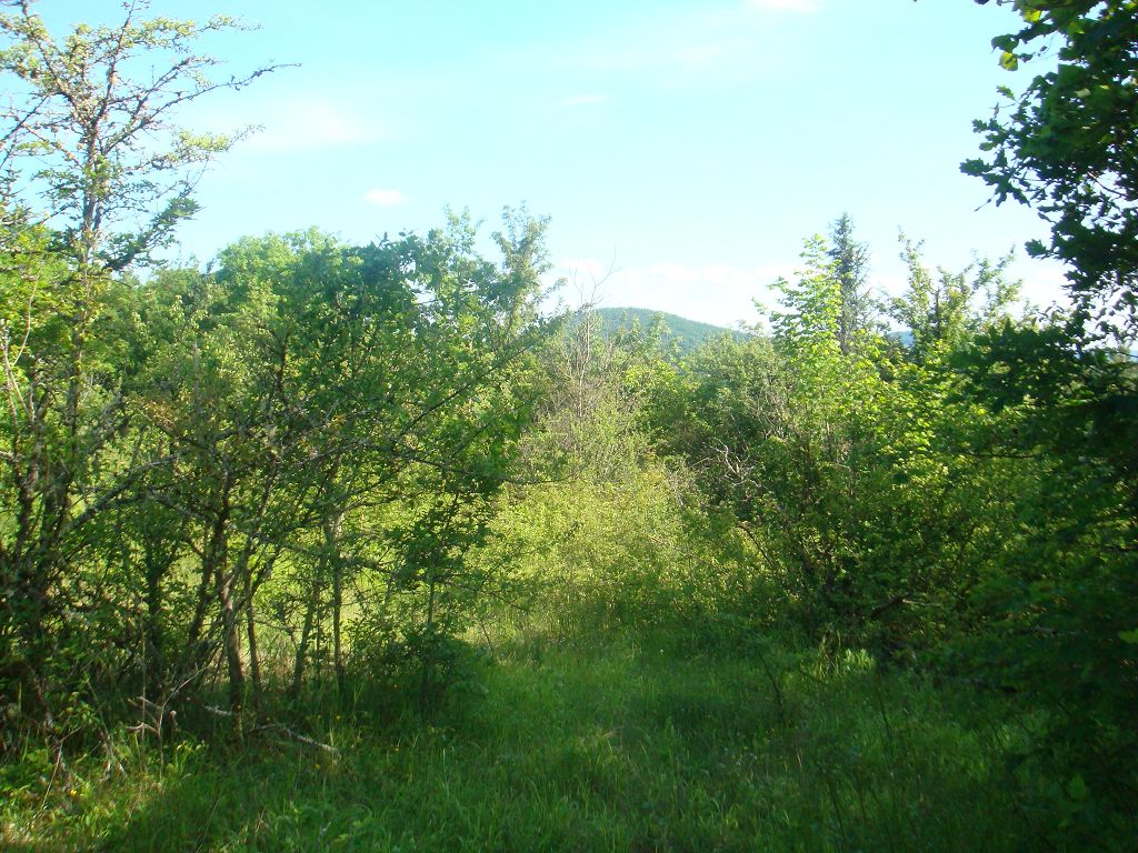 Terrain 3 MINUTES DE MEYSSAC EN VOITURE CHÉDAILLE IMMOBILIER