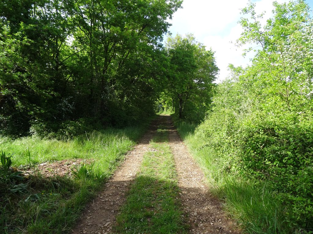 Terrain NORD DU LOT CHÉDAILLE IMMOBILIER