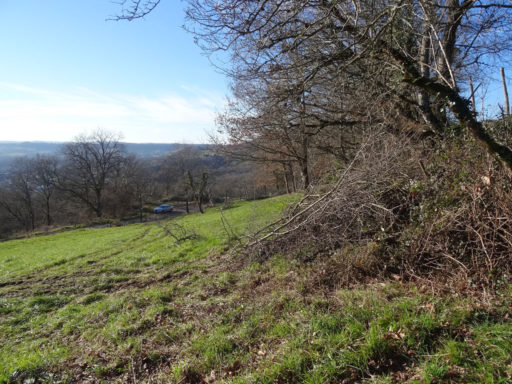 Terrain CANTON DE MEYSSAC CHÉDAILLE IMMOBILIER