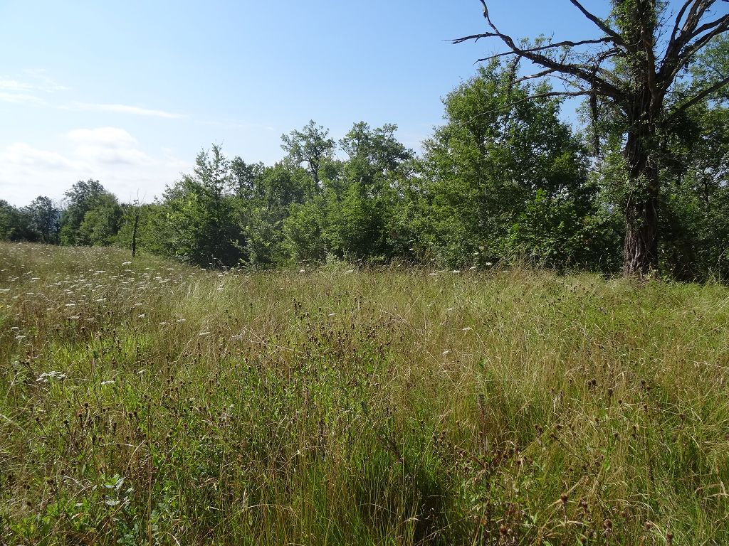 Terrain NORD DU LOT CHÉDAILLE IMMOBILIER