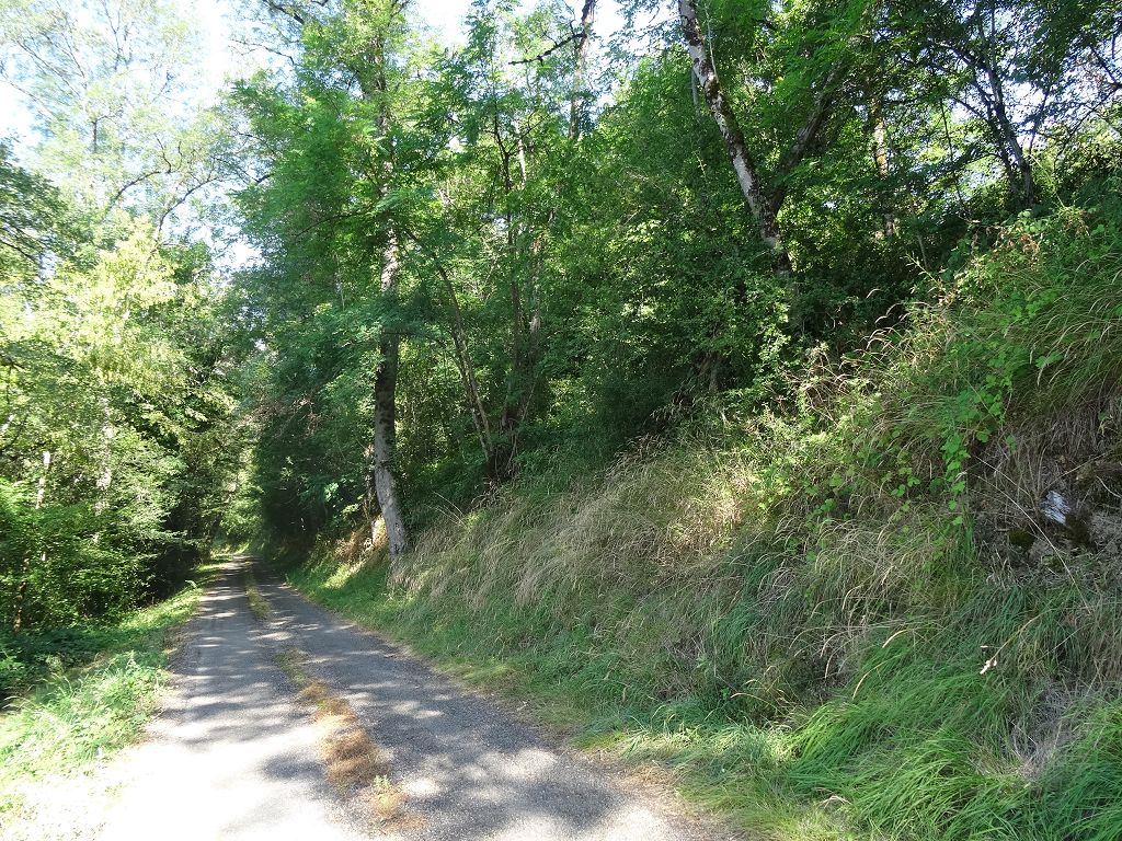 Terrain NORD DU LOT CHÉDAILLE IMMOBILIER