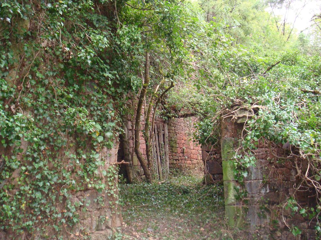 Maison ancienne MEYSSAC CHÉDAILLE IMMOBILIER