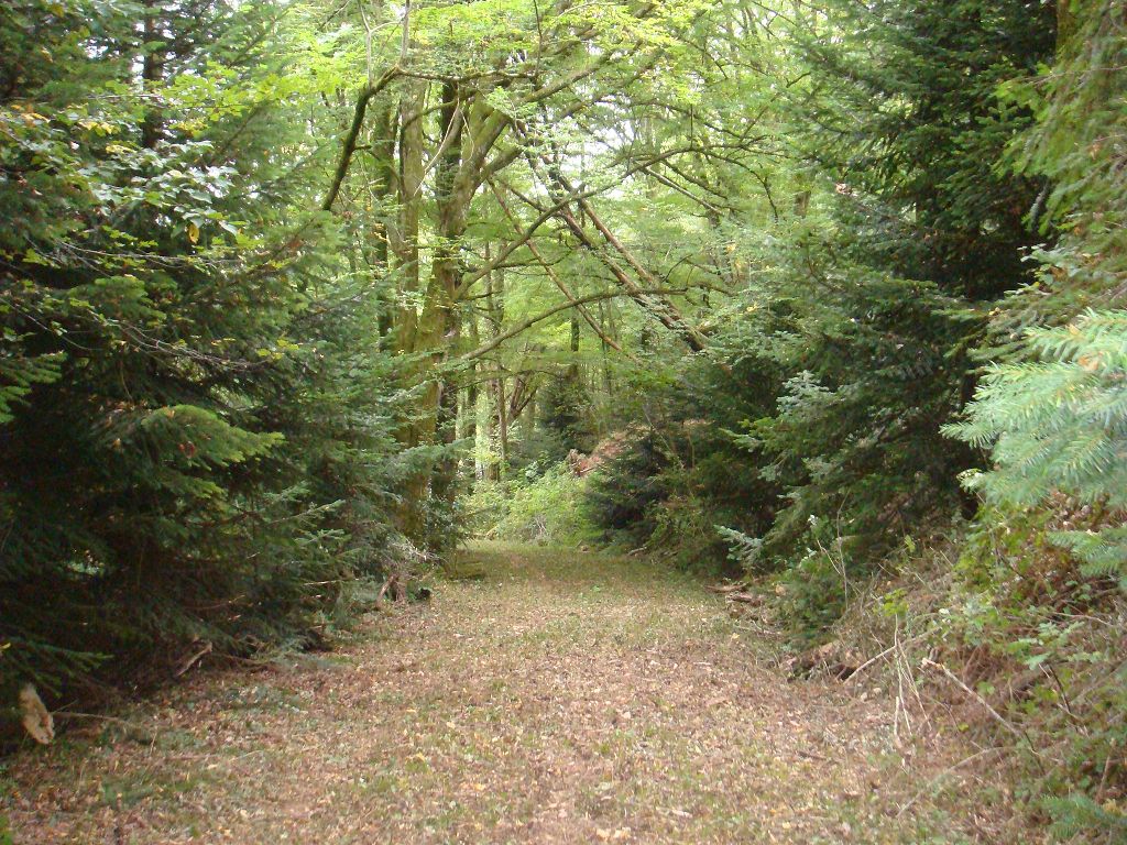 Maison ancienne MEYSSAC CHÉDAILLE IMMOBILIER