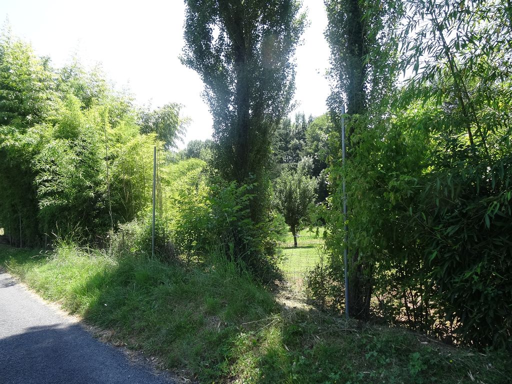 Terrain COLLONGES LA ROUGE CHÉDAILLE IMMOBILIER
