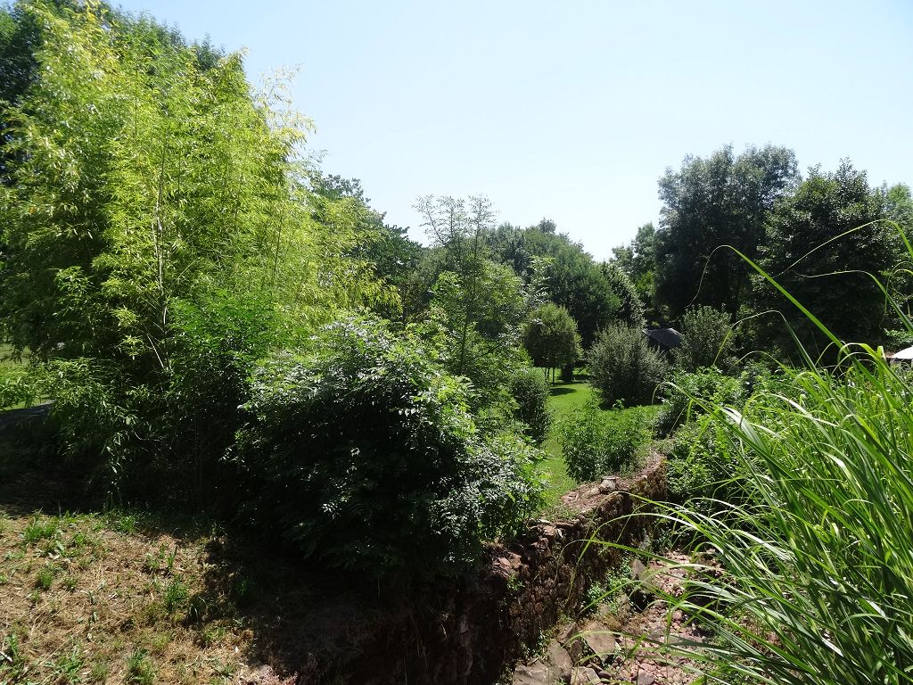 Terrain COLLONGES LA ROUGE CHÉDAILLE IMMOBILIER