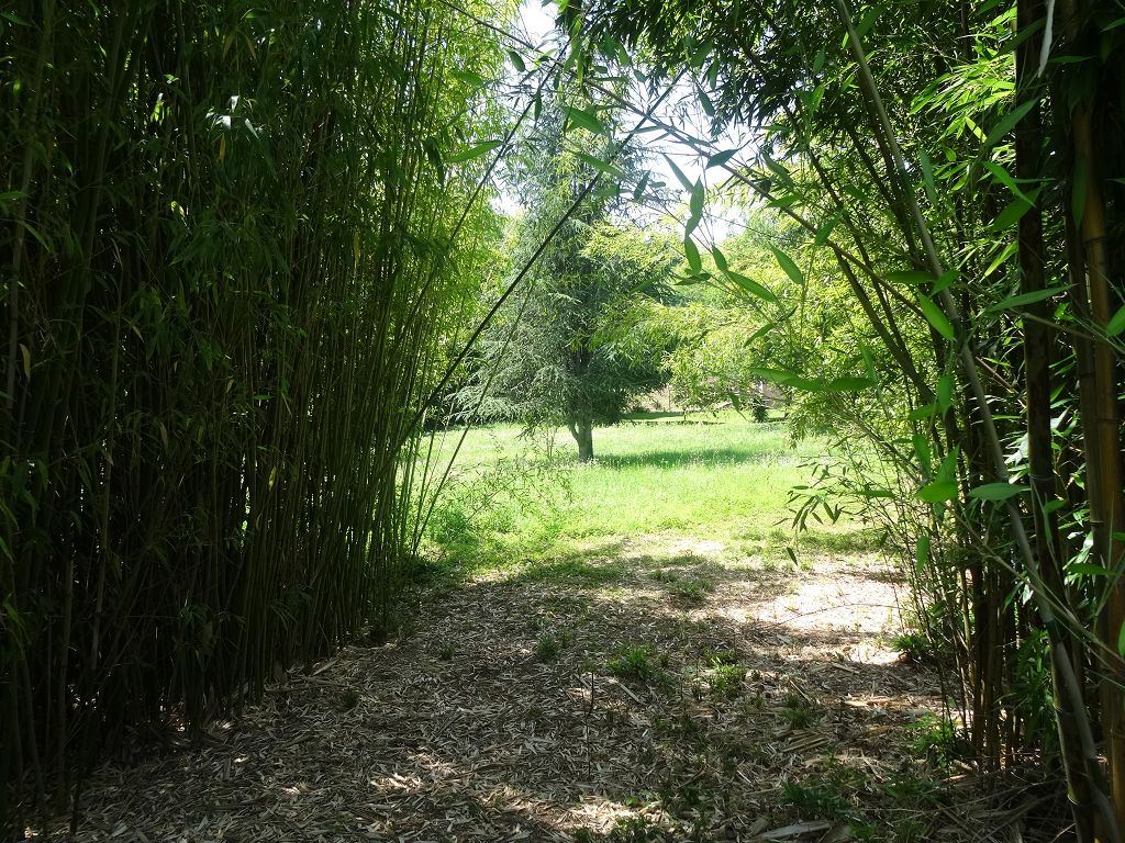 Terrain COLLONGES LA ROUGE CHÉDAILLE IMMOBILIER